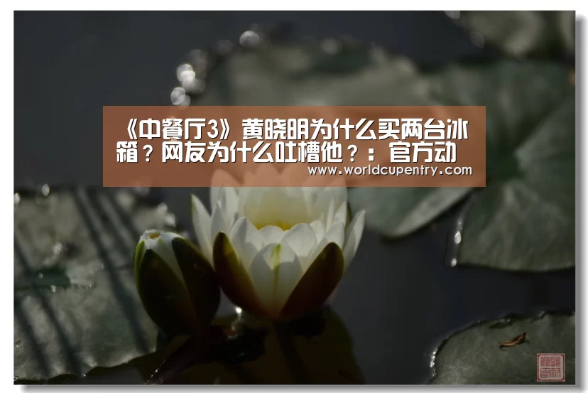 《中餐厅3》黄晓明为什么买两台冰箱?网友为什么吐槽他?:官方动态(图2) 官方动态