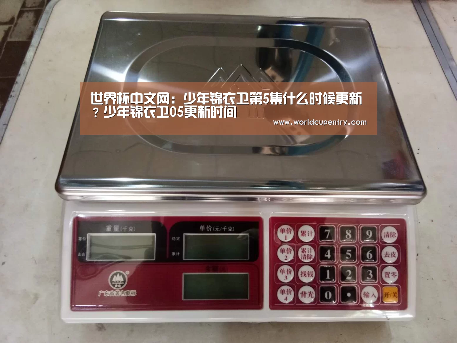 世界杯中文网:少年锦衣卫第5集什么时候更新?少年锦衣卫05更新时间(图4) 举办城市
