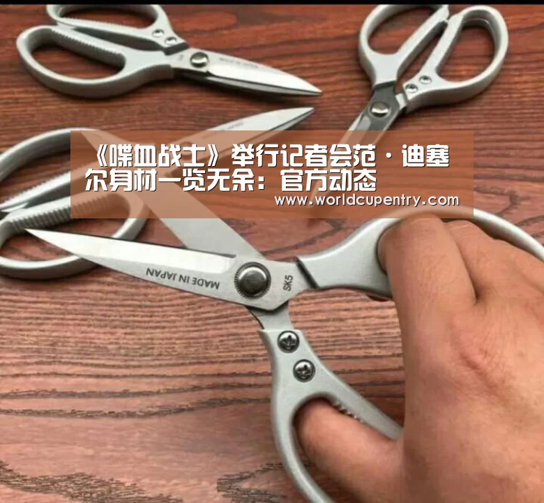 《喋血战士》举行记者会范·迪塞尔身材一览无余:官方动态(图1) 举办城市